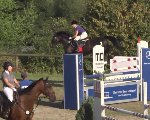 Leonberger Reiterspiele 2016