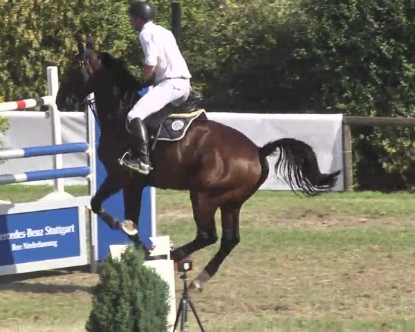 Leonberger Reiterspiele 2016