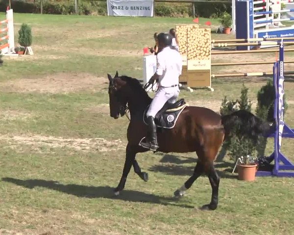 Leonberger Reiterspiele 2016