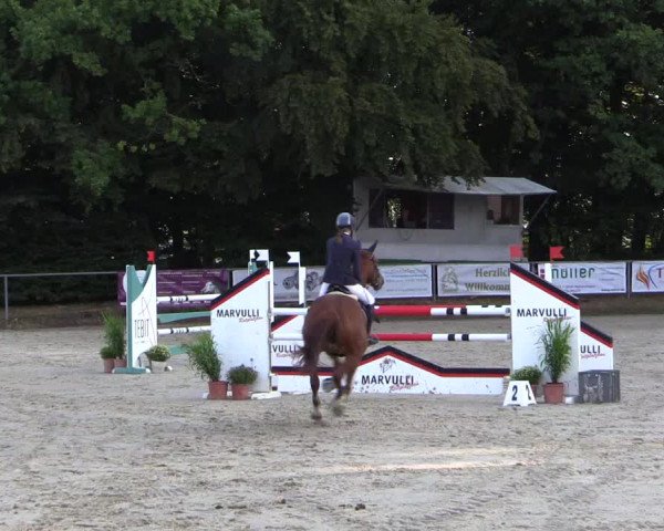 Reitturnier Meinerzhagen 2016