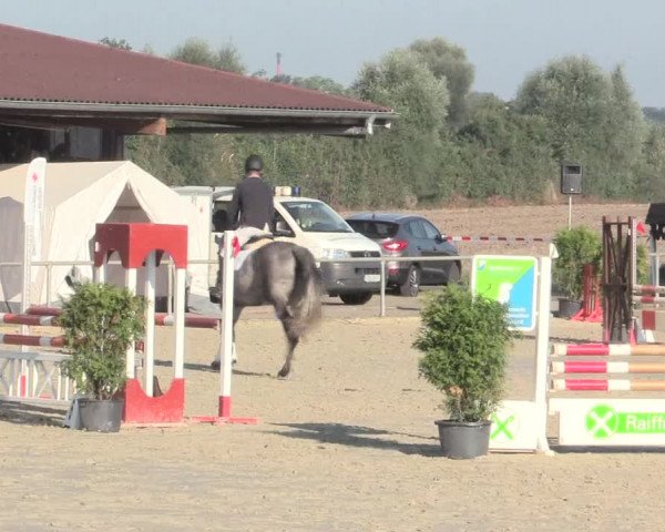 Reitturnier Appelhülsen 2016