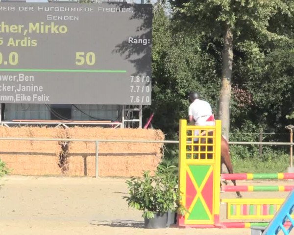 Reitturnier Appelhülsen 2016