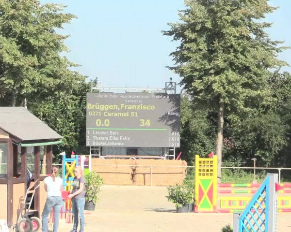 Reitturnier Appelhülsen 2016