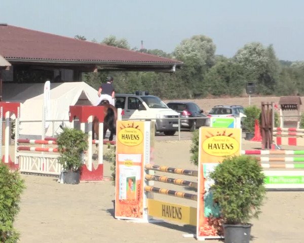 Reitturnier Appelhülsen 2016