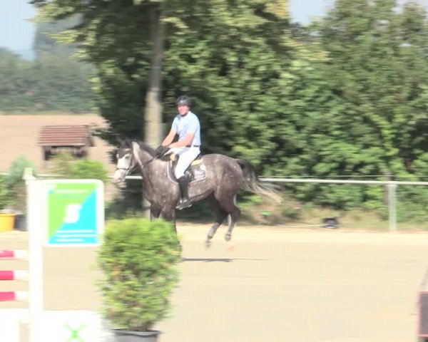 Reitturnier Appelhülsen 2016