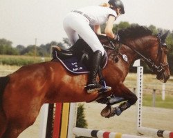 Zuchtstute Agentin (Westfale, 2003, von Argent)