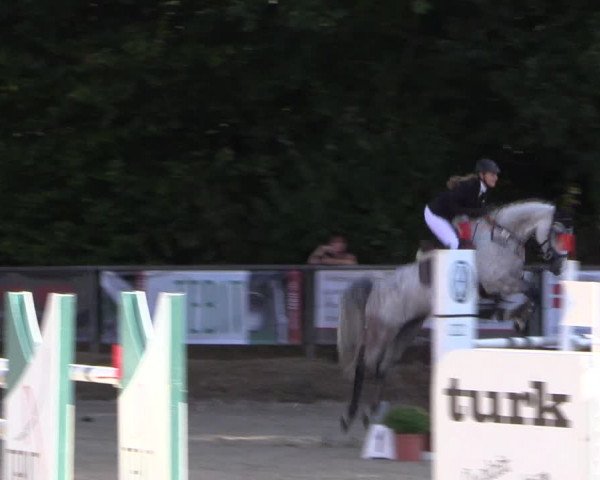 Reitturnier Meinerzhagen 2016