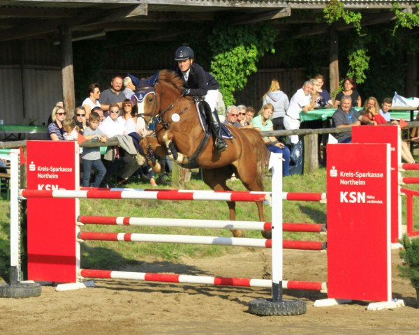 broodmare California 83 (German Warmblood, 2006, from Canandos)
