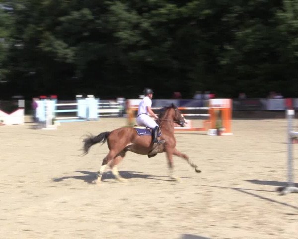 Reitturnier Meinerzhagen 2016