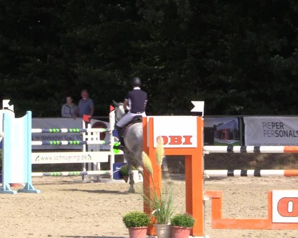 Reitturnier Meinerzhagen 2016
