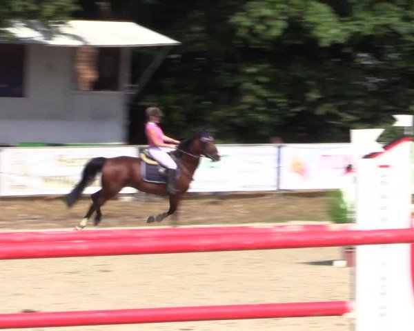 Reitturnier Meinerzhagen 2016