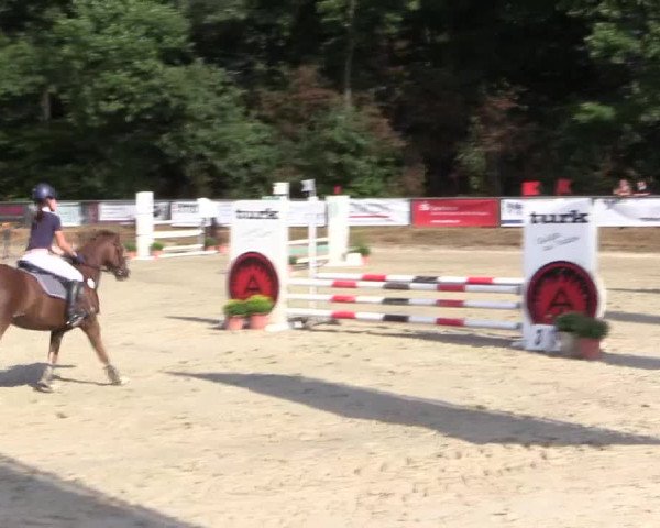 Reitturnier Meinerzhagen 2016