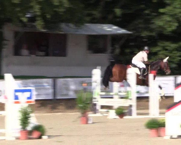 Reitturnier Meinerzhagen 2016
