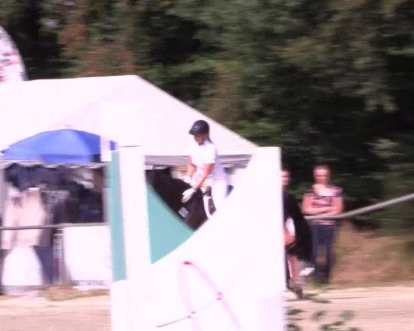 Reitturnier Meinerzhagen 2016