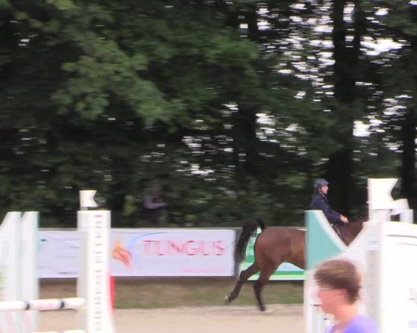 Reitturnier Meinerzhagen 2016