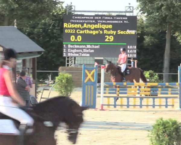 Reitturnier Appelhülsen 2016