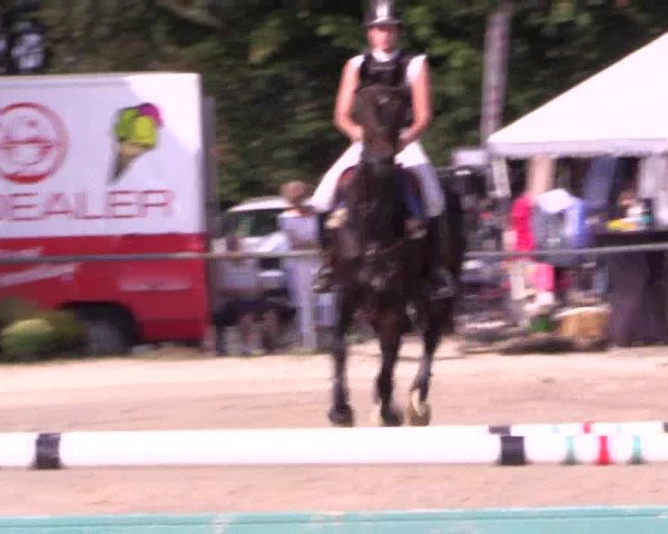 Reitturnier Meinerzhagen 2016