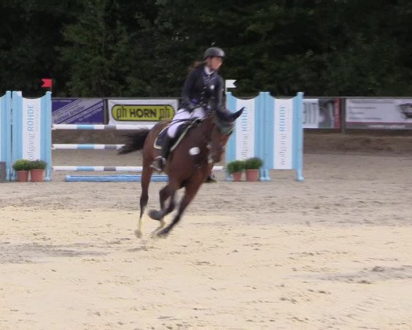 Reitturnier Meinerzhagen 2016
