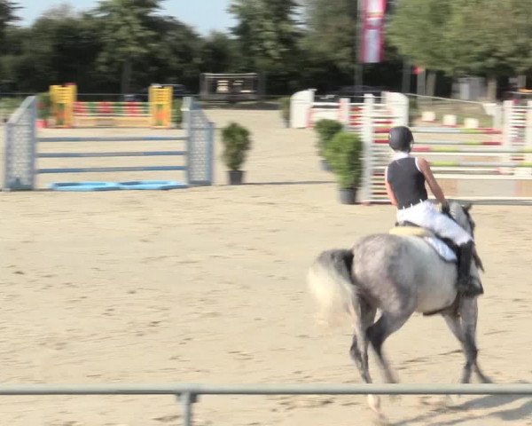 Reitturnier Appelhülsen 2016