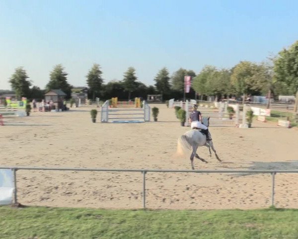 Reitturnier Appelhülsen 2016