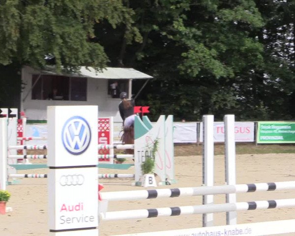 Reitturnier Meinerzhagen 2016