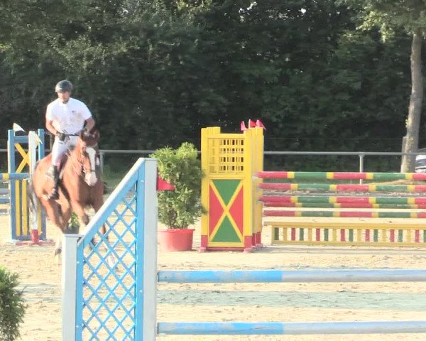 Reitturnier Appelhülsen 2016