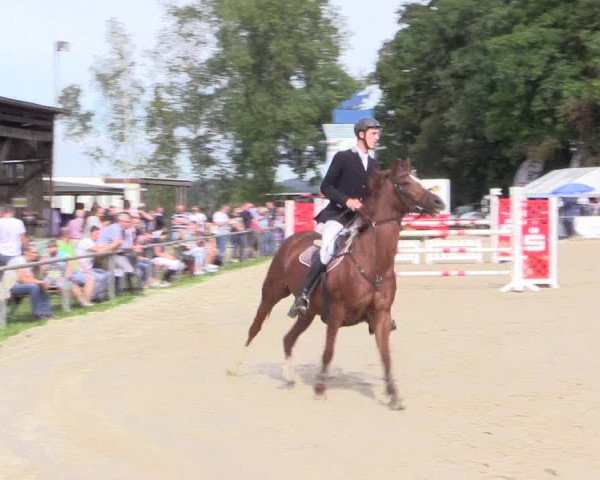 Reitturnier Meinerzhagen 2016