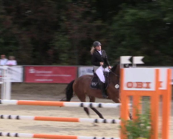 Reitturnier Meinerzhagen 2016