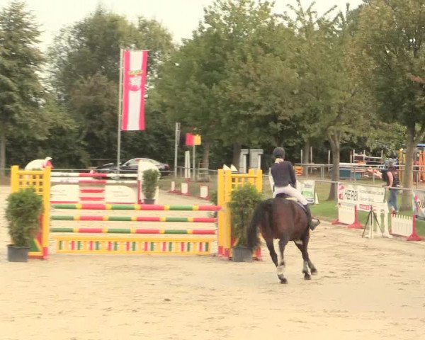 Reitturnier Appelhülsen 2016