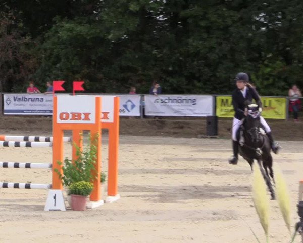 Reitturnier Meinerzhagen 2016