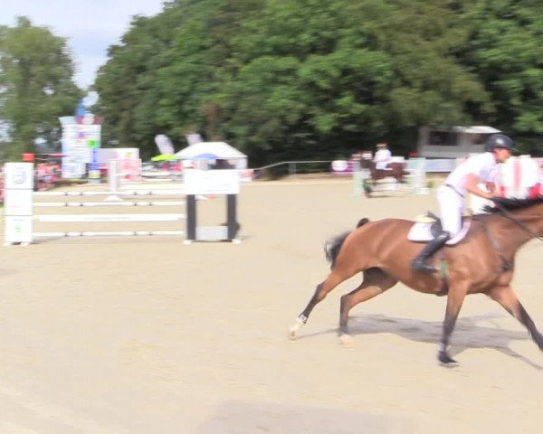 Reitturnier Meinerzhagen 2016