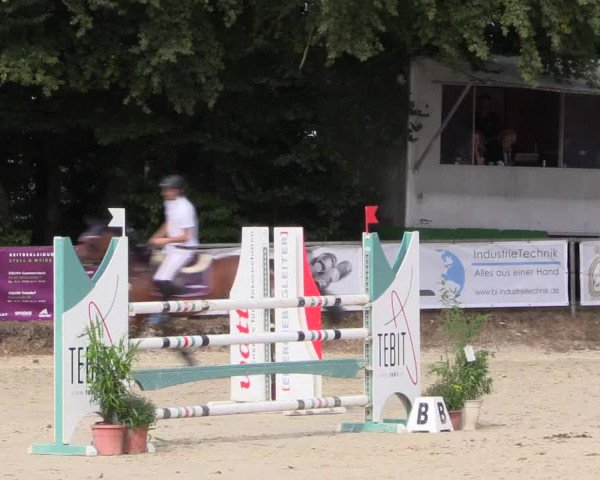 Reitturnier Meinerzhagen 2016