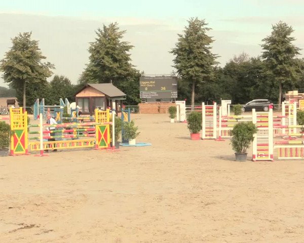 Reitturnier Appelhülsen 2016