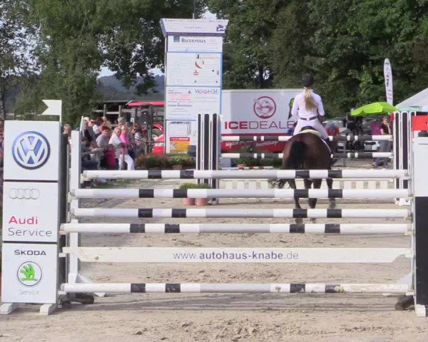 Reitturnier Meinerzhagen 2016