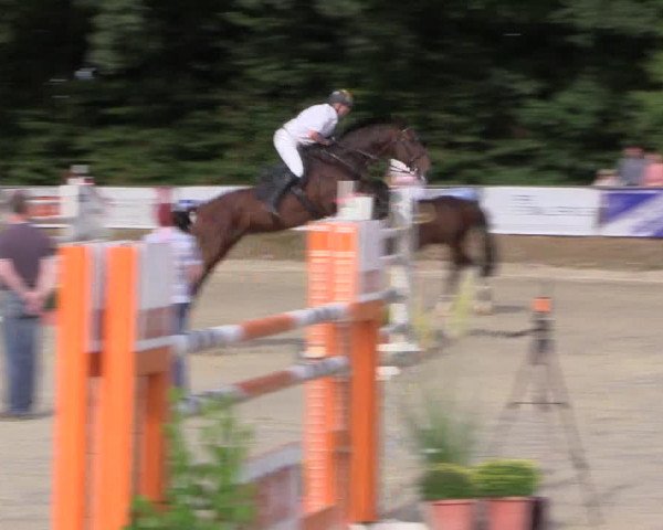 Reitturnier Meinerzhagen 2016