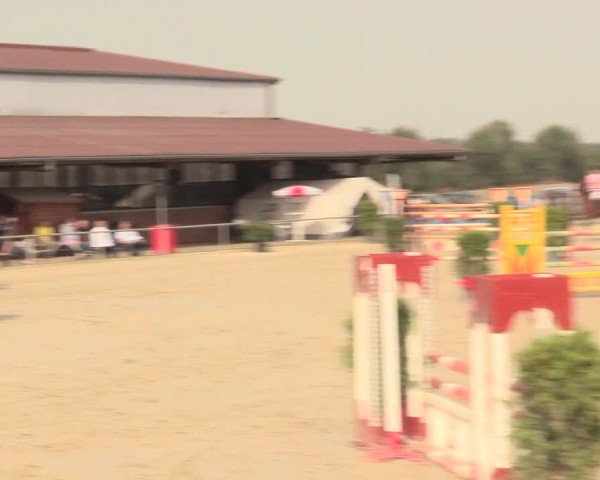 Reitturnier Appelhülsen 2016