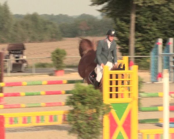 Reitturnier Appelhülsen 2016