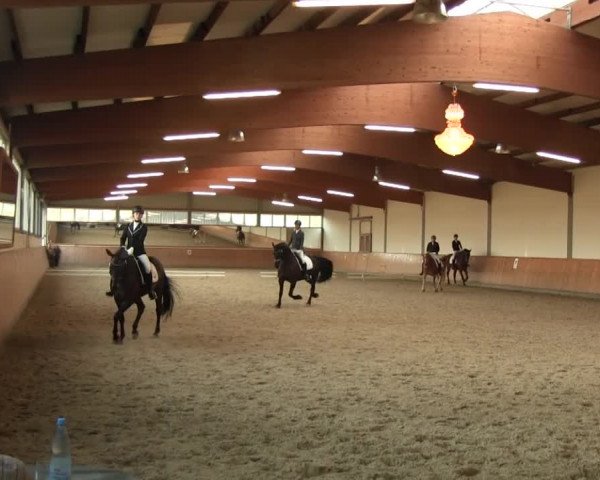 Reitturnier Gut Hohenkamp / Dorsten 2016
