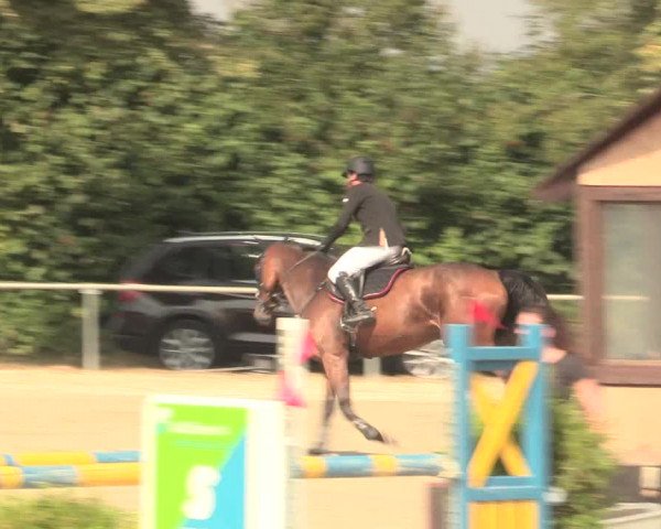 Reitturnier Appelhülsen 2016