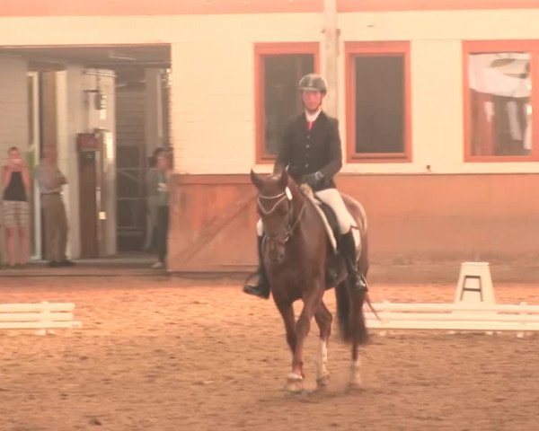 Reitturnier Appelhülsen 2016