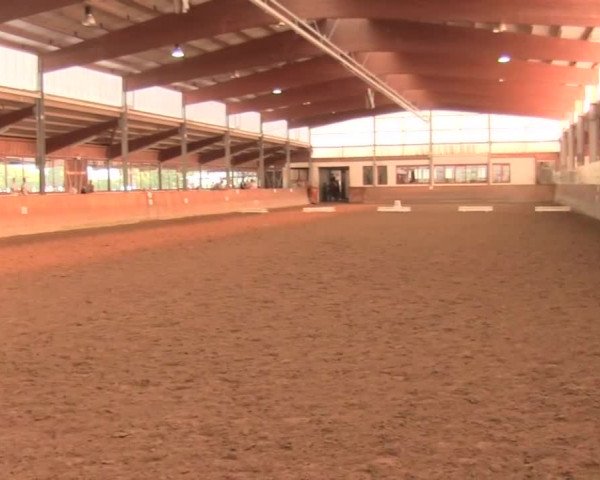 Reitturnier Appelhülsen 2016