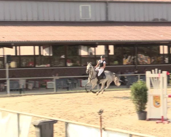 Reitturnier Appelhülsen 2016