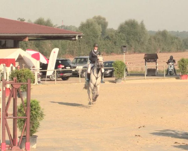 Reitturnier Appelhülsen 2016