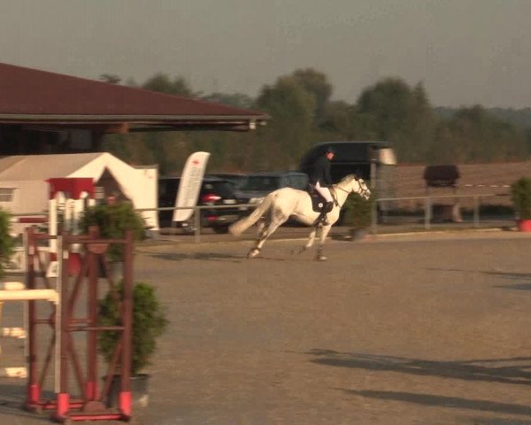 Reitturnier Appelhülsen 2016