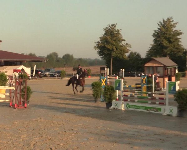 Reitturnier Appelhülsen 2016