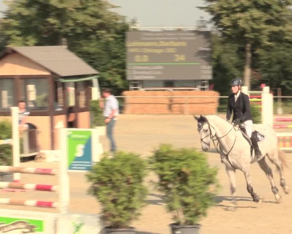 Reitturnier Appelhülsen 2016