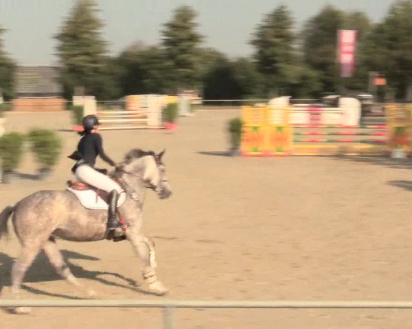 Reitturnier Appelhülsen 2016