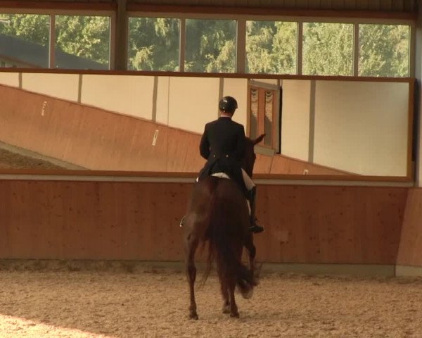 Reitturnier Gut Hohenkamp / Dorsten 2016