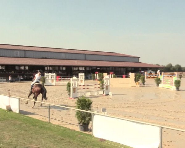 Reitturnier Appelhülsen 2016