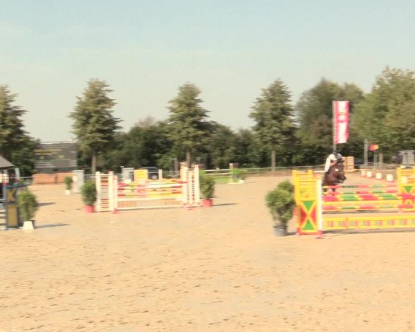 Reitturnier Appelhülsen 2016